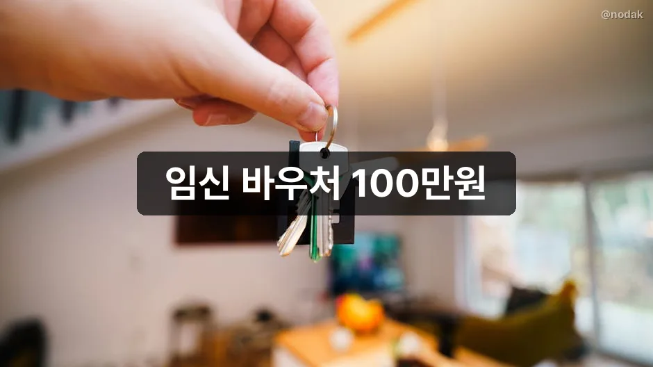 임신출산 진료비 바우처 국민행복카드 사용처 안내