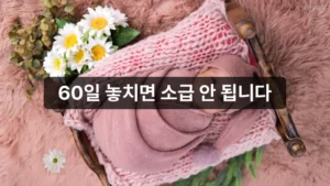 60일 놓치면 소급 안 됩니다, 아동수당 신청 방법