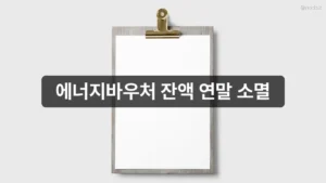 에너지바우처 잔액 연말 소멸 | 전기·가스 사용처와 이용법